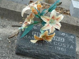 Manuel R. Costa