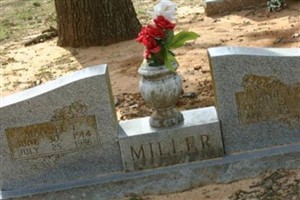 Manuel T. Miller
