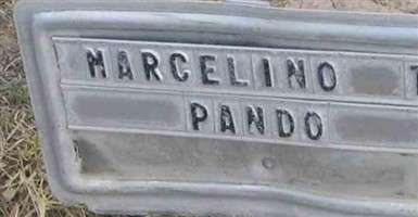 Marcelino T Pando