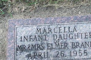 Marcella Brandt Marcella Brandt