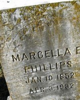 Marcella E Phillips