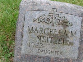 Marcella M Neitzel Marcella M Neitzel