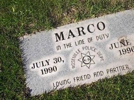 Marco Marco