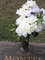 Marcos Montes