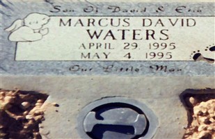 Marcus David Waters Marcus David Waters