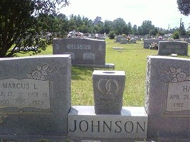 Marcus L. Johnson Marcus L. Johnson