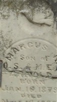 Marcus R. Arnold Marcus R. Arnold