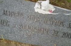 Marcus Shun Hatton, Jr Marcus Shun Hatton, Jr