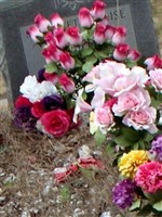 Margaret Elouise Johnson