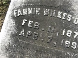 Margaret Frances "Fannie" Wilkes Dyson Margaret Frances "Fannie" Wilkes Dyson