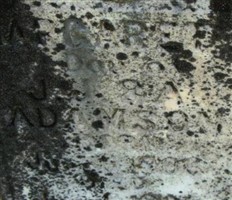Margaret L Adamson Margaret L Adamson