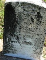 Margaret L Adamson Margaret L Adamson