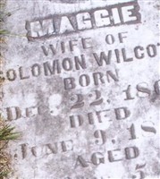 Margaret Syms Wilcott
