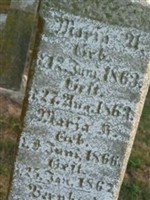 Maria A Jansen Maria A Jansen