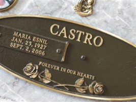 Maria DelaPaz Castro