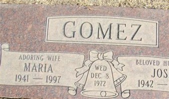 Maria G Gomez Maria G Gomez