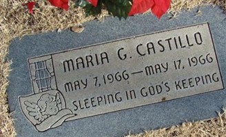 Maria Guadalupe Castillo Maria Guadalupe Castillo