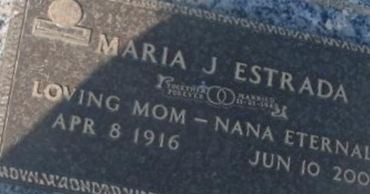 Maria J Jimenez Estrada Maria J Jimenez Estrada