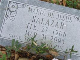 Maria De Jesus Navarro Salazar