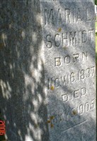 Maria L. Schmidt