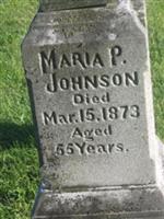 Maria P Johnson