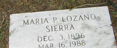 Maria P Lozano Sierra