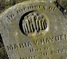 Maria V. Hayden Maria V. Hayden