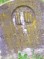 Maria V. Hayden Maria V. Hayden