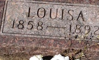 Mariah Louisa Wood Firkins
