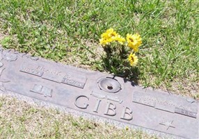 Mariam A. Gibb