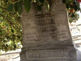 Marianna A. Mendonca Marianna A. Mendonca