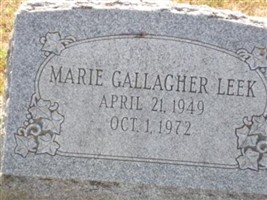 Marie Elena Gallagher Leek Marie Elena Gallagher Leek