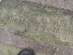 Marie Hedwig Karlin Marie Hedwig Karlin