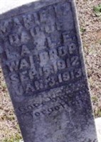Marie M Waldrop Marie M Waldrop