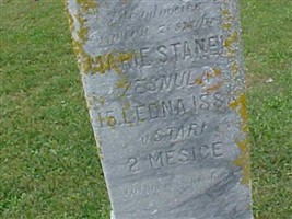 Marie Stanek Marie Stanek