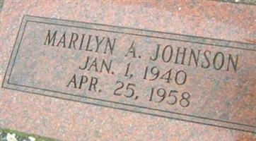 Marilyn A Johnson (2402099.jpg)