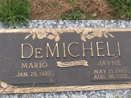 Mario DeMicheli