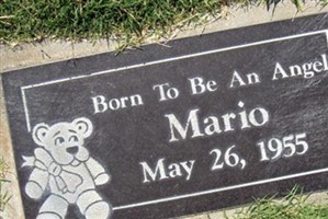 Mario Flores