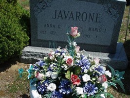 Mario J. Javarone Mario J. Javarone