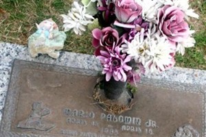 Mario Palomin, Jr
