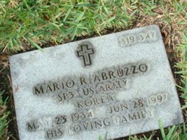 Mario R Abruzzo