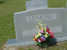 Mario S. Leimone Mario S. Leimone