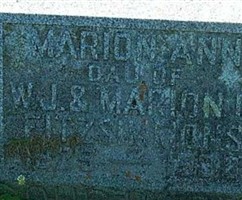 Marion Ann Fitzsimmons Marion Ann Fitzsimmons