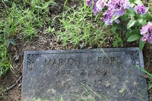 Marion Fore Marion Fore