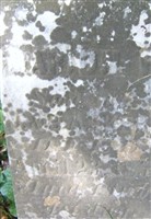 Marion R. Ikerd
