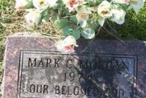 Mark C Morgan Mark C Morgan