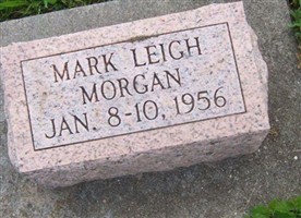 Mark Leigh Morgan Mark Leigh Morgan