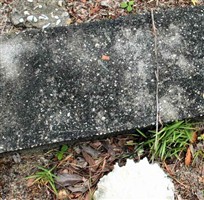 Marker Unnamed