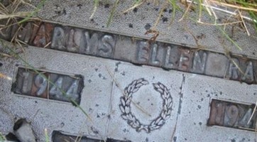 Marlys Ellen Rash Marlys Ellen Rash