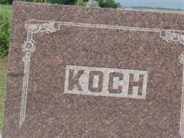 Marlys Wilhelmina Koch Marlys Wilhelmina Koch